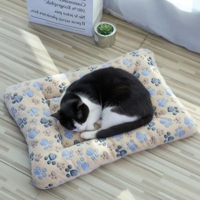 Tapis chat moelleux avec chat dormant dessus