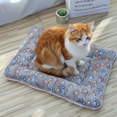 Tapis chat moelleux avec chat rousx et blanc assis dessus