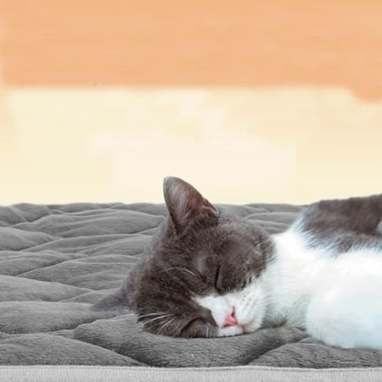 tapis pour chat bleu fonce rectangulaire avec chat endormi dessus