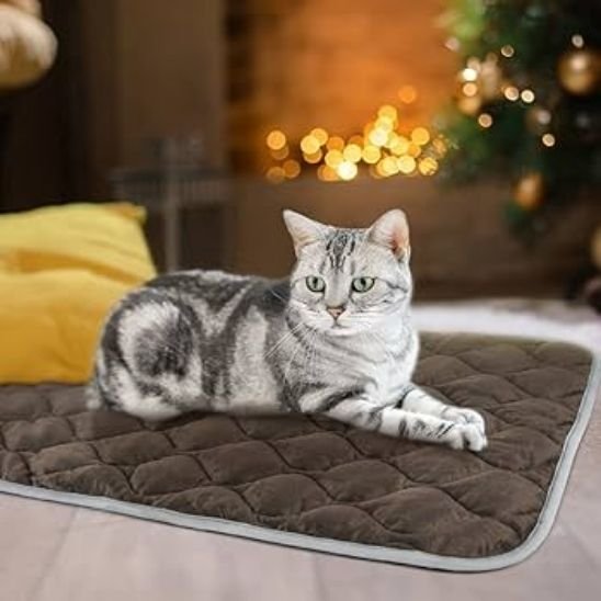 tapis pour chat bleu fonce rectangulaire avec chat couche dessus