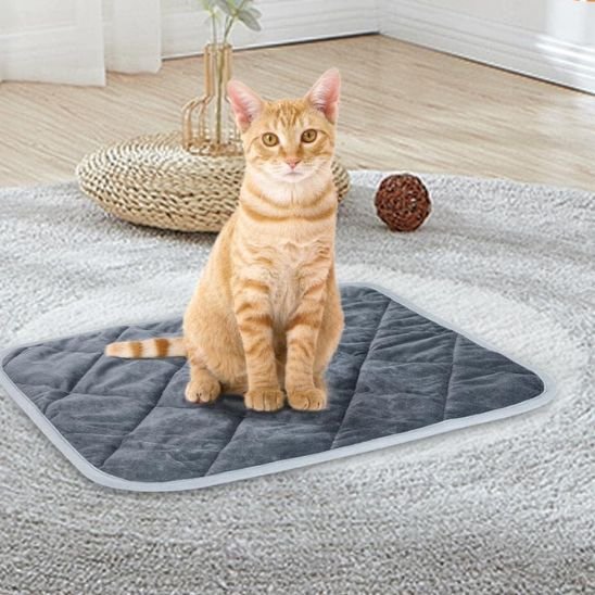 tapis pour chat bleu fonce rectangulaire avec chat assit dessus