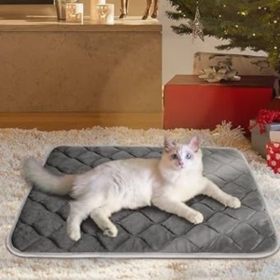 tapis pour chat bleu fonce rectangulaire avec lisere de finition gris chat dessus