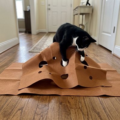 Tapis pour chat marron avec trous et un chat sautant dessus