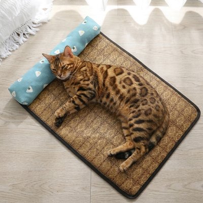 Tapis rafraichissant Chat animal couche dessus