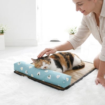 Tapis rafraichissant Chat animal dormant dessus avec femme le caressant