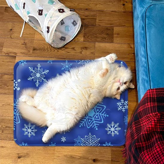 Tapis rafraichissant Chat avec chat allonge dessus