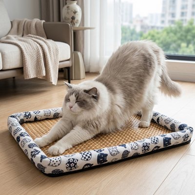 Tapis rafraichissant Chat avec chat qui s'etire dedans