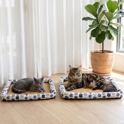 Tapis rafraichissant Chat avec deux chats couches dedans tailles differentes