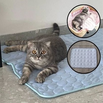 Tapis rafraichissant chat bleu avec chat dessus