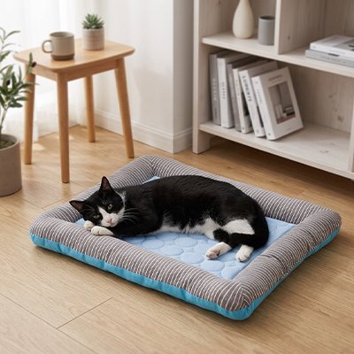 Tapis rafraichissant Chat bleu chat couche dedans