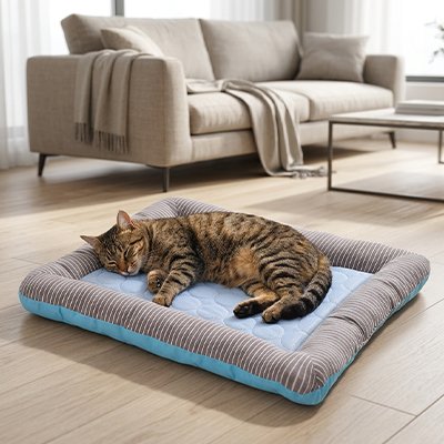 Tapis rafraichissant Chat bleu chat dormant dedans