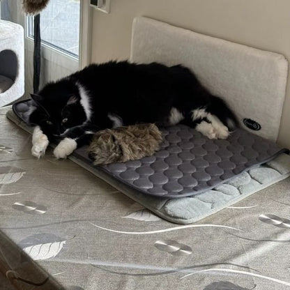 Tapis rafraichissant chat gris avec un chat dormant dessus