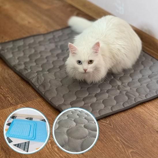 Tapis rafraichissant chat gris chat blanc dessus