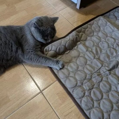 Tapis rafraichissant chat gris chat jouant a cote 