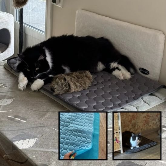 Tapis rafraichissant chat noir se reposant dessus