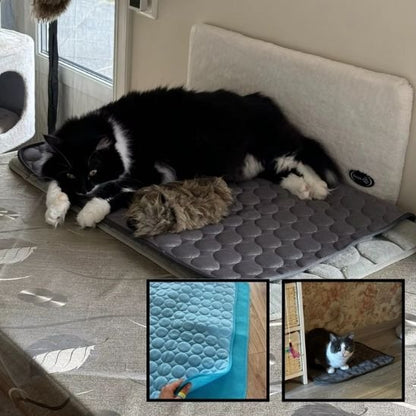 Tapis rafraichissant chat noir se reposant dessus