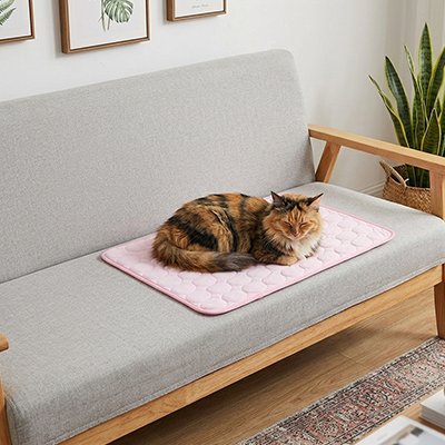 Tapis rafraichissant Chat rose pastel sur un canapé avec chat dessus